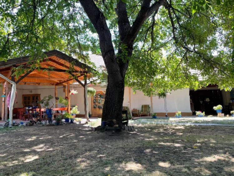 Guesthouse Kohari Egerszalók Exterior foto